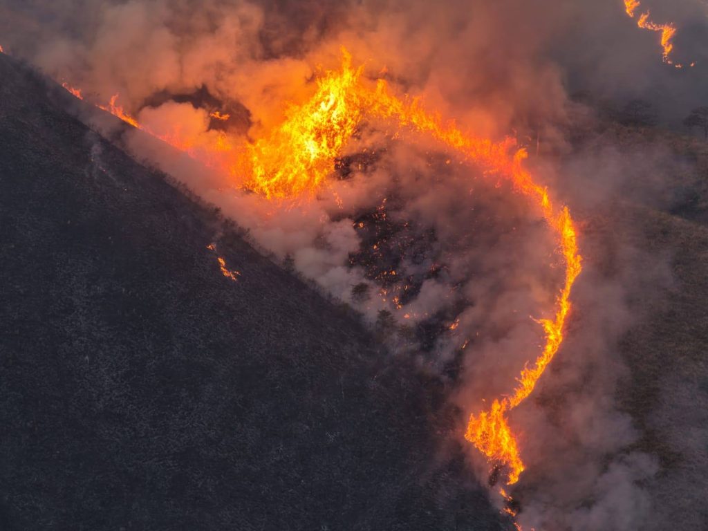 Gobierno de Nayarit aplica estrategia de fuego controlado para contener incendio forestal en el cerro San Juan