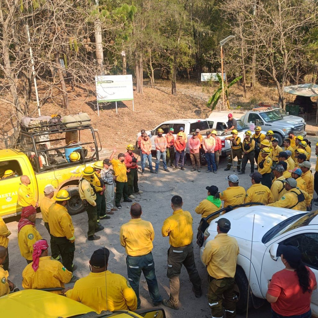 Gobierno de Nayarit mantiene operativo para liquidar incendio forestal “El Tecolote” en el cerro San Juan