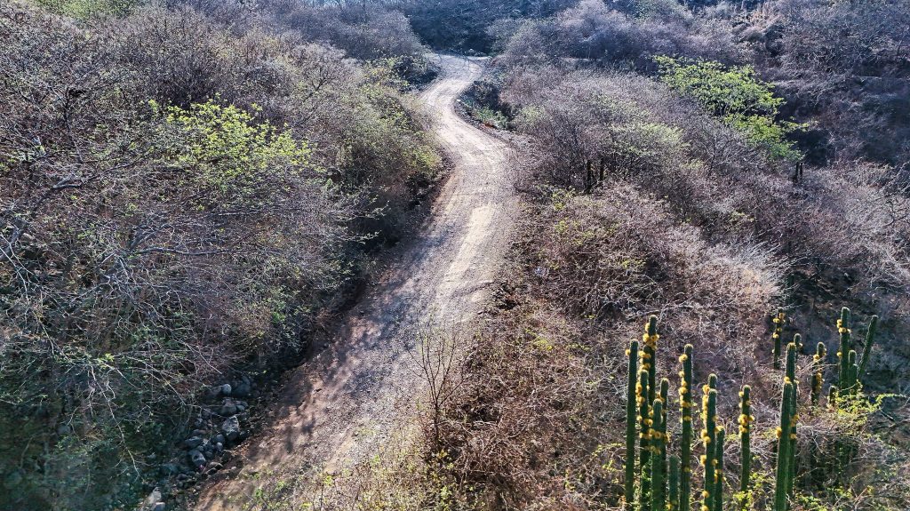 Ayuntamiento de Amatlán de Cañas continúa rehabilitación de la brecha a San Miguel para mejorar movilidad