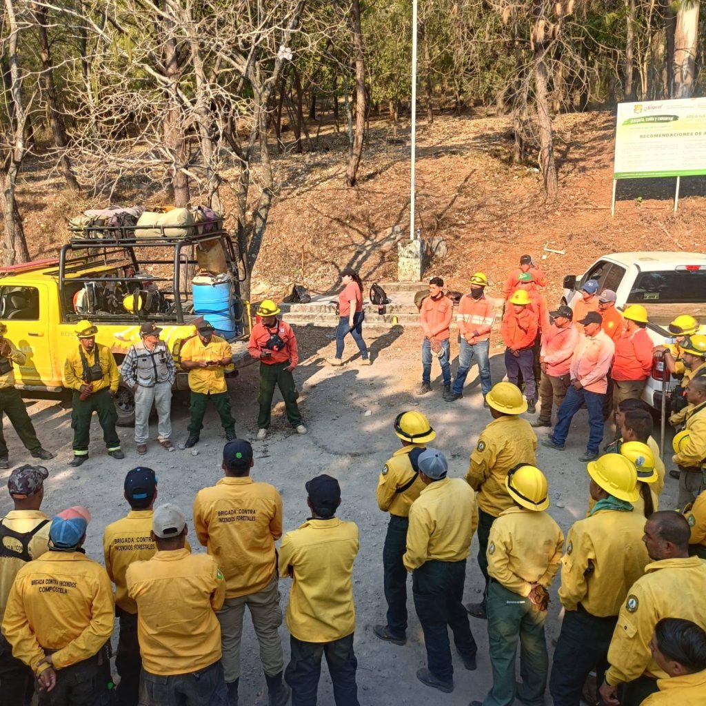 Gobierno de Nayarit mantiene operativo para liquidar incendio forestal “El Tecolote” en el cerro San Juan