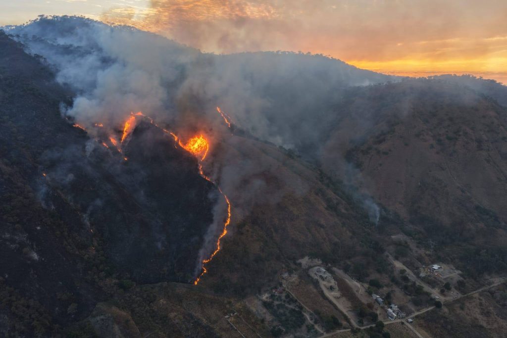 Gobierno de Nayarit aplica estrategia de fuego controlado para contener incendio forestal en el cerro San Juan