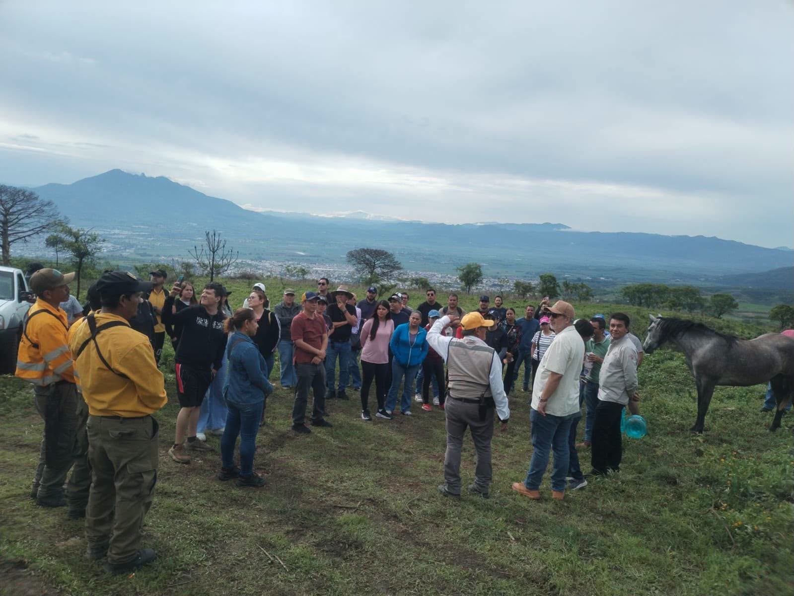 Reforestación en la Sierra de San Juan fortalece la conservación ambiental en Nayarit
