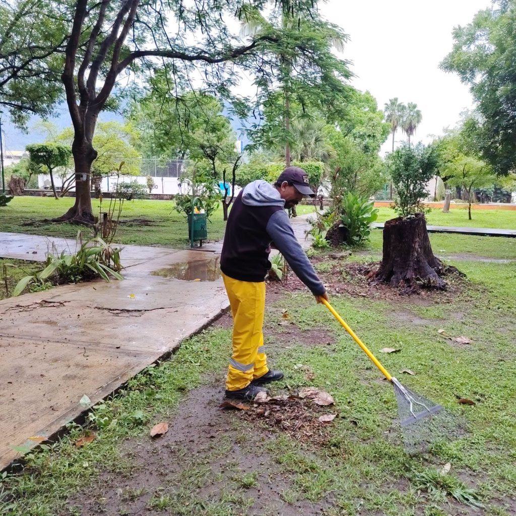 Gobierno de Tepic realiza mantenimiento preventivo en el parque Alameda