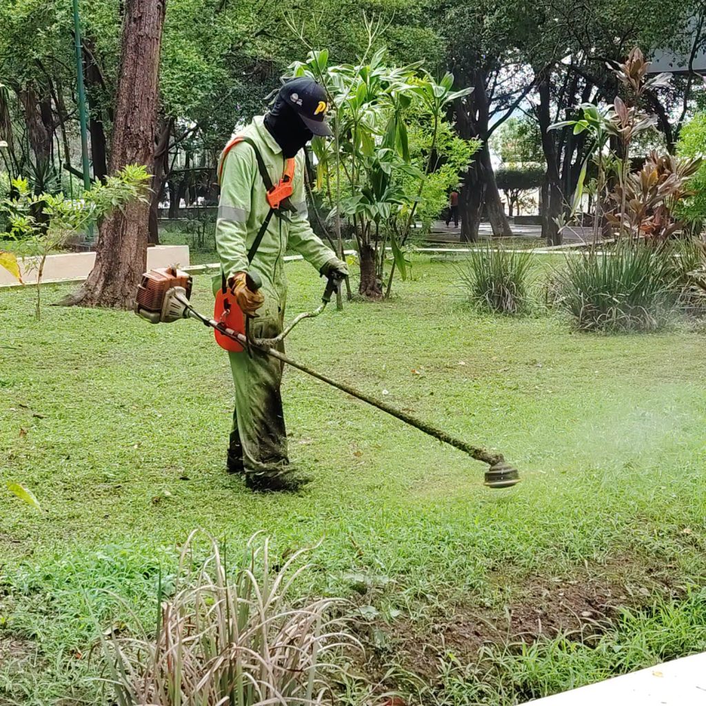 Gobierno de Tepic realiza mantenimiento preventivo en el parque Alameda