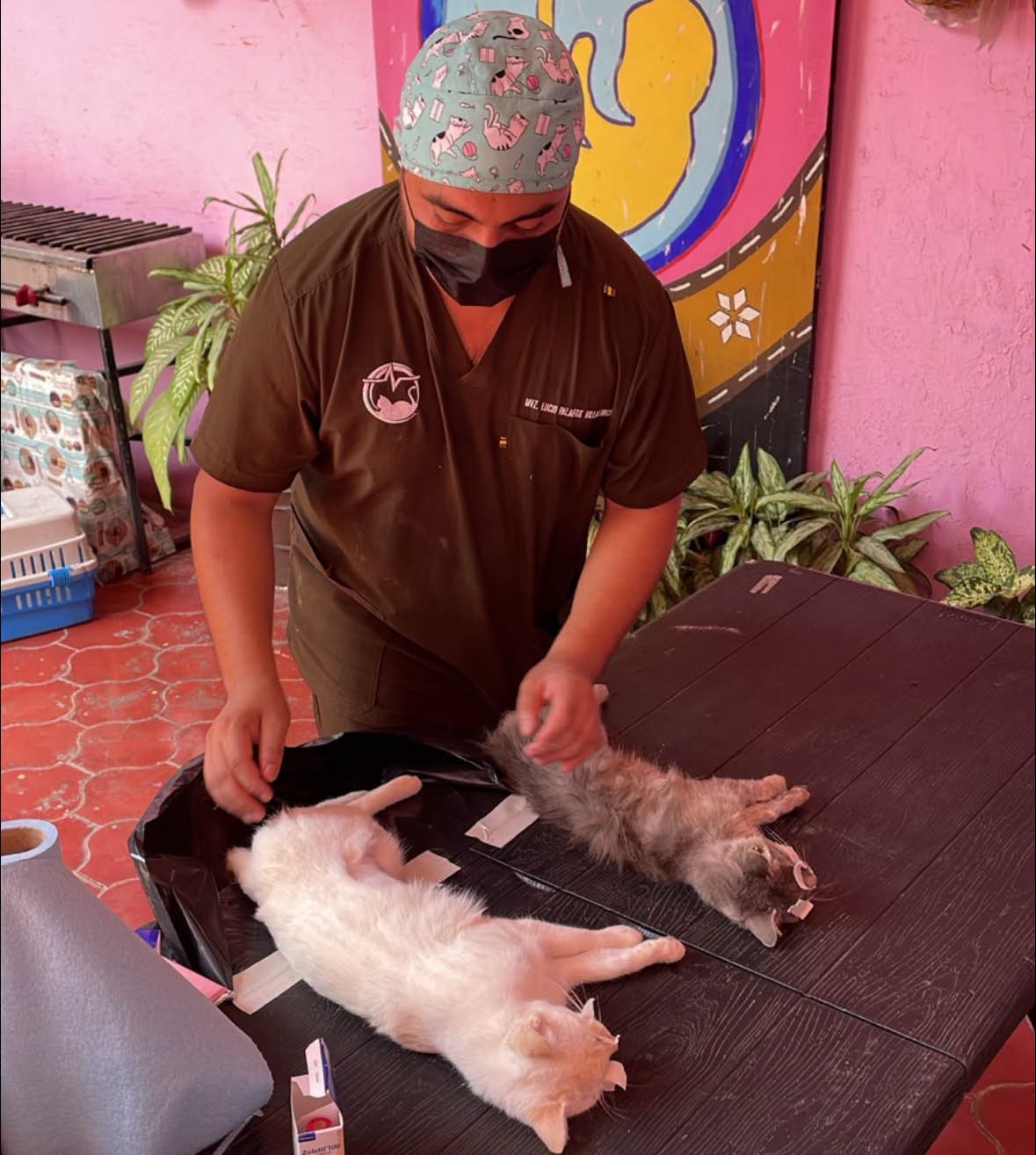 Jala fortalece el bienestar animal con tercera jornada de esterilización en Jomulco
