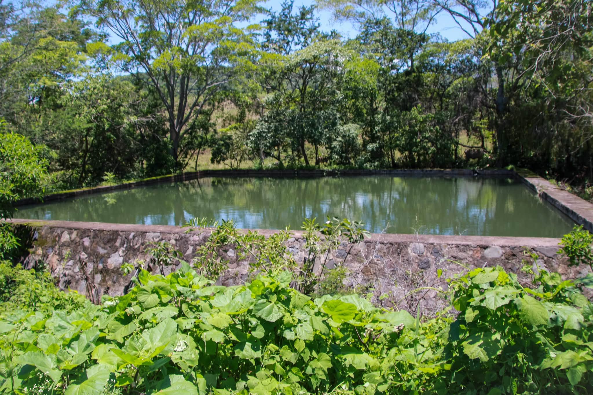 Regularización de concesiones de agua fortalece al sector productivo de Santa María del Oro