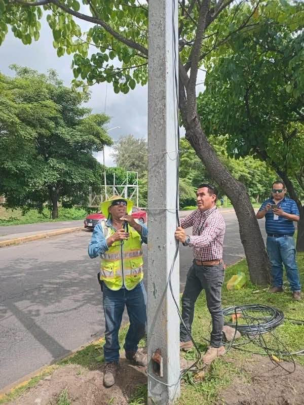Alumbrado público fortalece la iluminación en colonias de Tepic con trabajos de mantenimiento