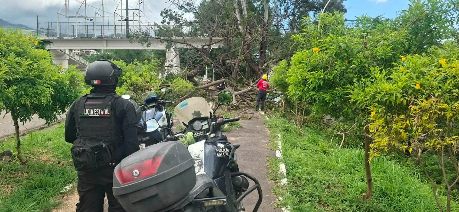 Gobierno de Nayarit fortalece acciones preventivas en el Parque Lineal de Tepic