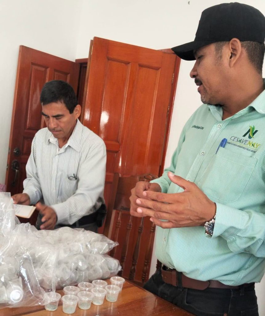 Ahuacatlán fortalece el control biológico de plagas en cultivos de maíz